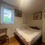 Spacious Stylish Family Flat Victoria Park With A Very Friendly Cat